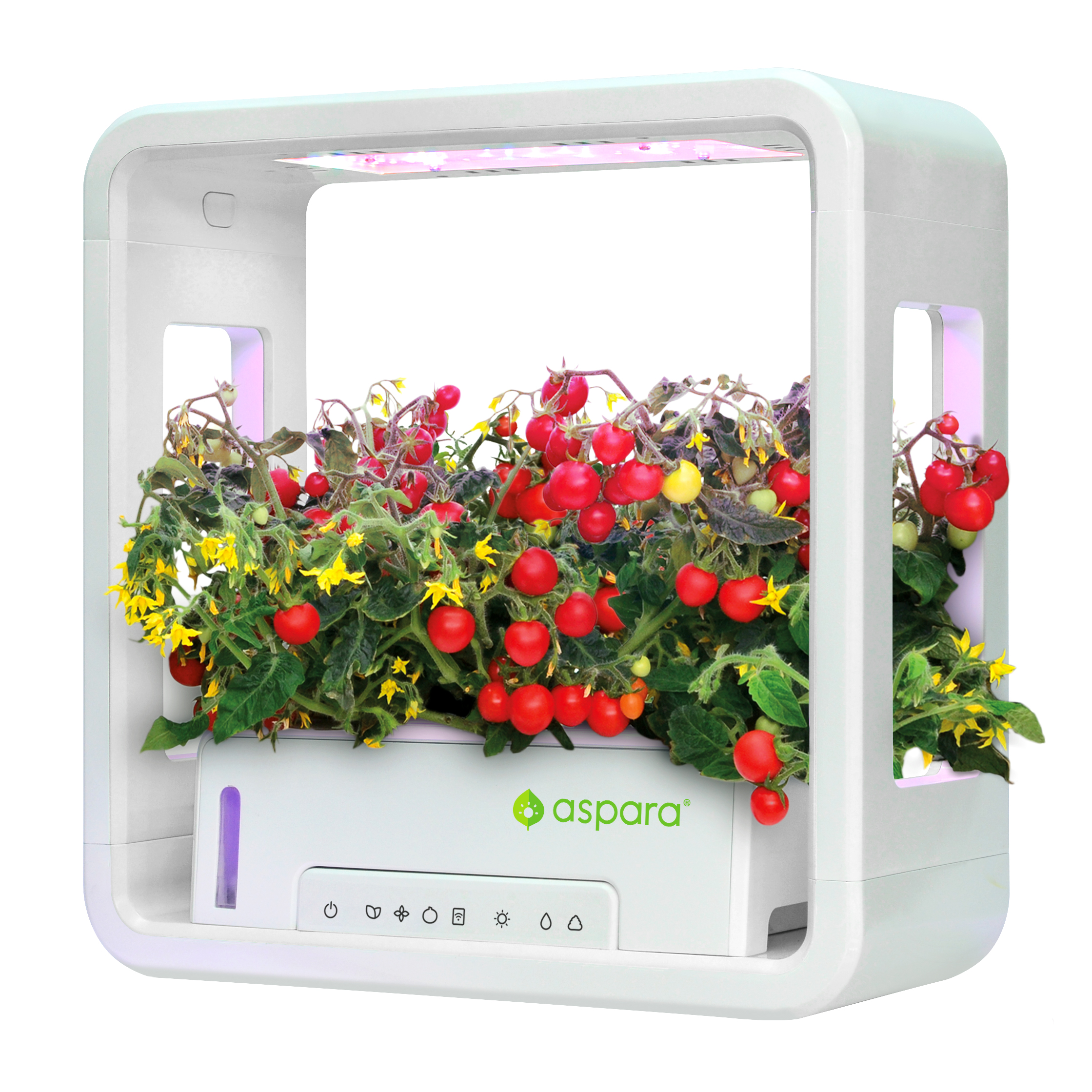 aspara: Try a Smart Way to Grow Your Garden