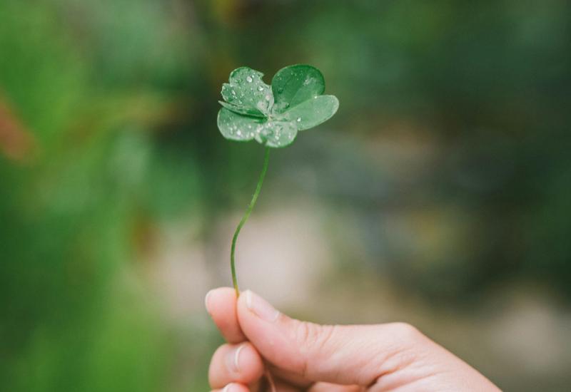 Celebrate St. Patrick's Day with No Booze, Just Pure Irish Fun and Entertainment