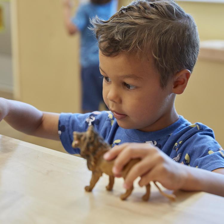 Tame the Toy Chaos Before the Holidays  Tame the Toy Chaos Before the Holidays