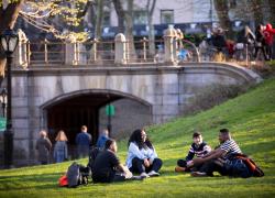 Navigating the College Application Process 