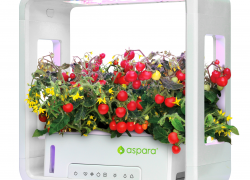 aspara: Try a Smart Way to Grow Your Garden aspara: Try a Smart Way to Grow Your Garden