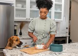 Festive Foods to Skip or Pick for Your Pets According to a Veterinarian