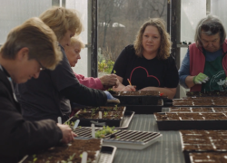 Four Reasons Why Creating Accessible Generosity Programs is Essential for Communities and Brands